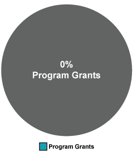 Cars 4 Disabled Vets Program Grants